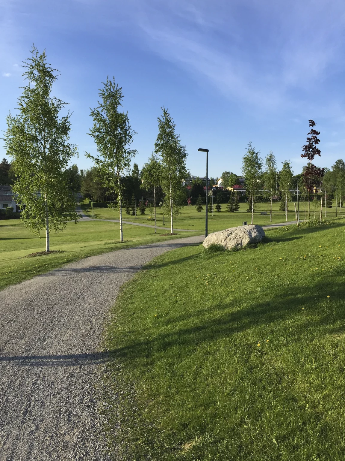 Parque urbano con sendero peatonal y zonas ajardinadas mantenido por Empresa de obra civil, mantenimiento y limpieza para Administraciones Públicas en Andalucía